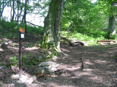 Foto: Obnoven� stud�nka U t�� lip